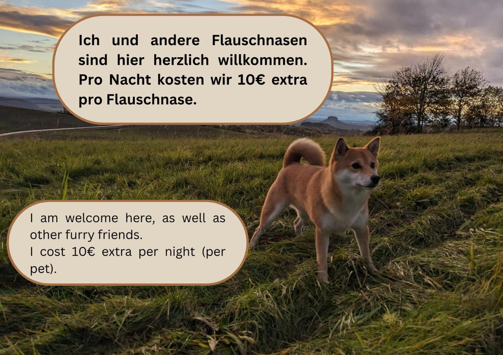 W2 - Urlaubsmagie - Im Herzen Des Elbsandsteingebirges Sebnitz Kültér fotó